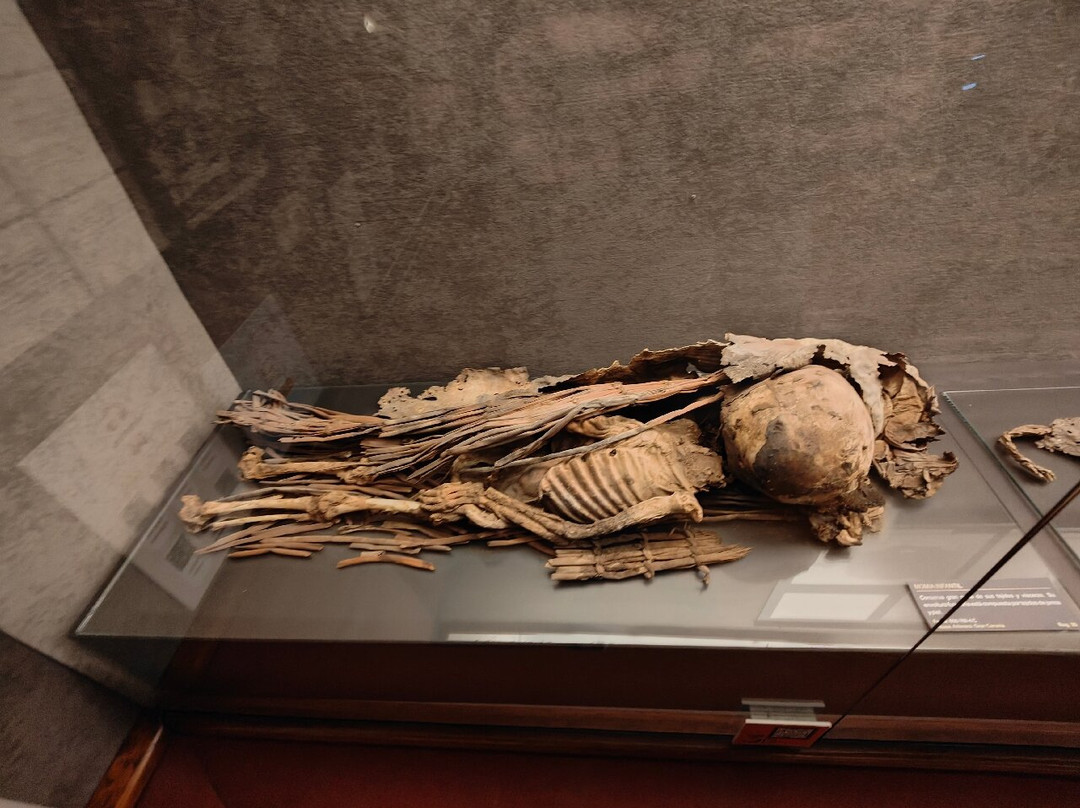 El Museo Canario-大加那利岛拉斯帕尔马斯必去景点