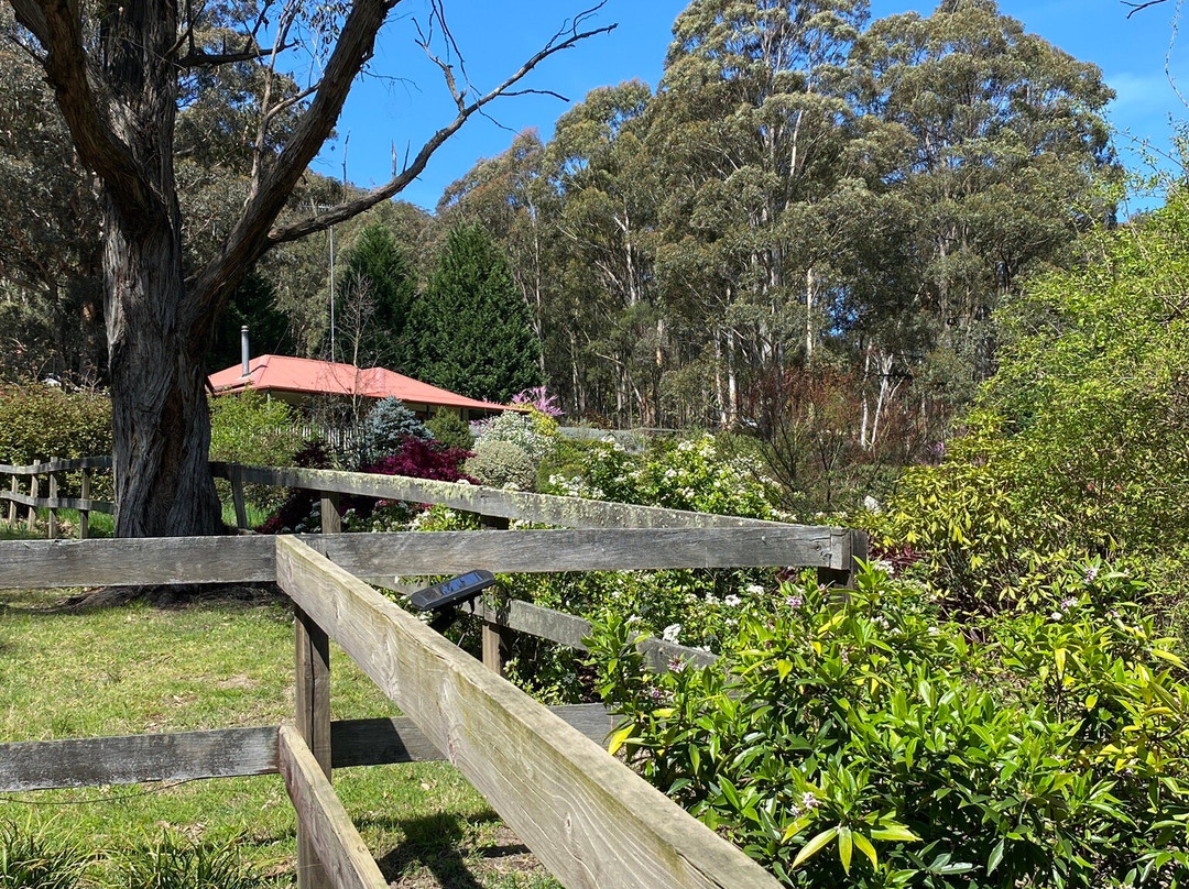 Wild Meadows Garden Little Hartley Nsw-Little Hartley必去景点