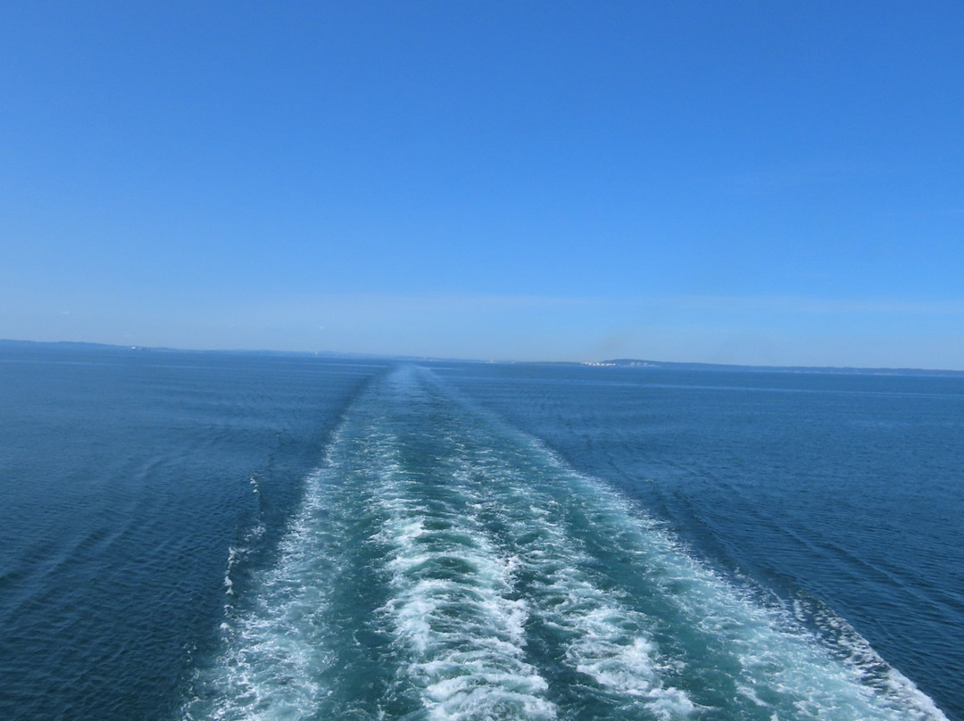 Bay Ferries-圣约翰必去景点