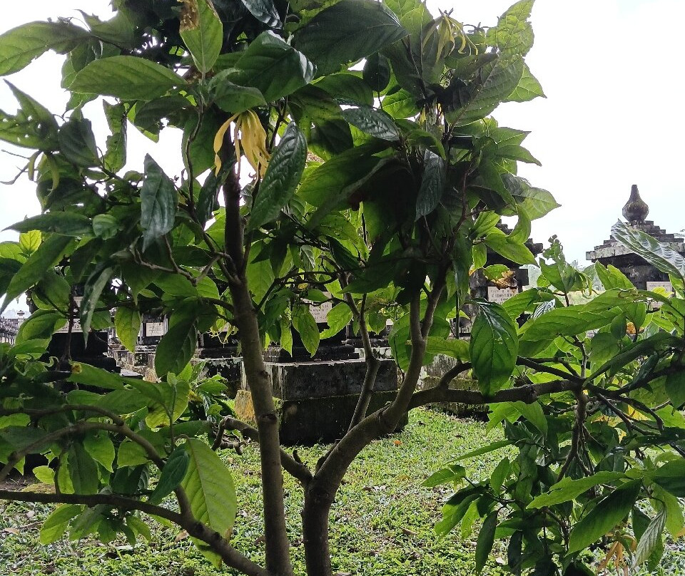 Margarana Memorial Park-达巴南必去景点