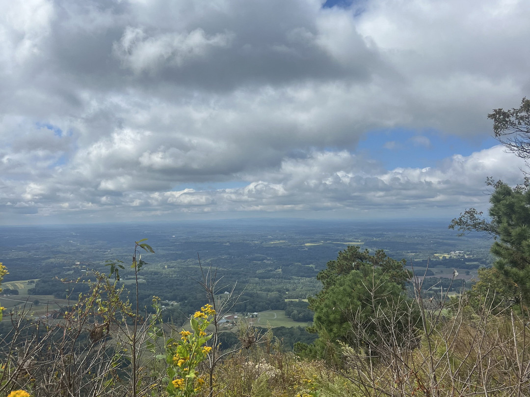 JOLO Winery & Vineyards-Pilot Mountain必去景点