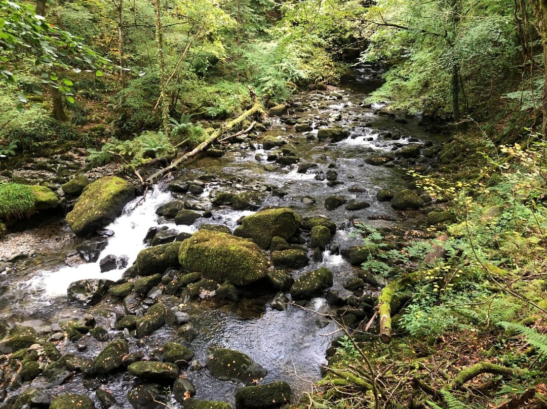 Torrent Walk-Dolgellau必去景点