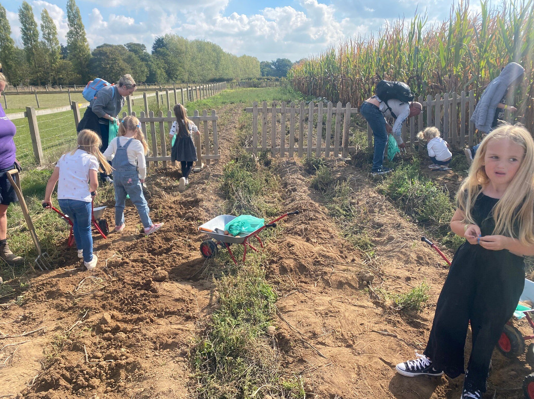 Wroxham Barns-Hoveton必去景点