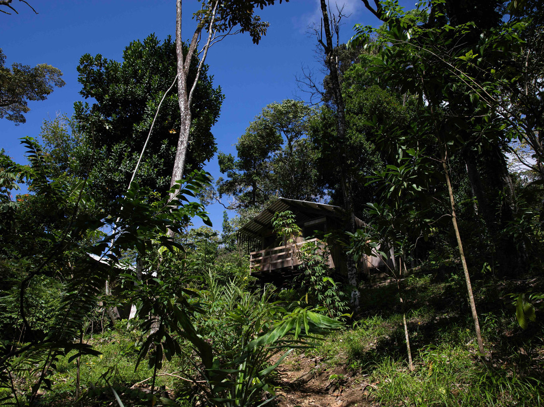Fazenda São Francisco - Sul Da Bahia-Serra Grande必去景点