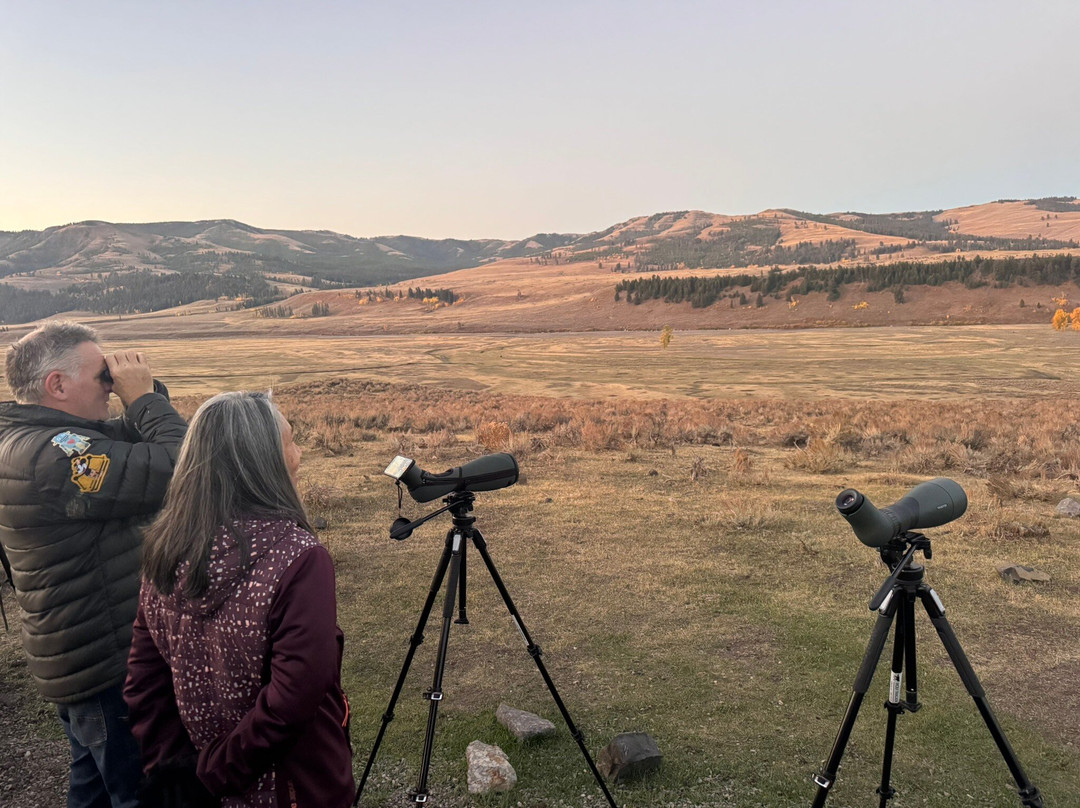 Yellowstone Wolf Tracker-加德纳必去景点