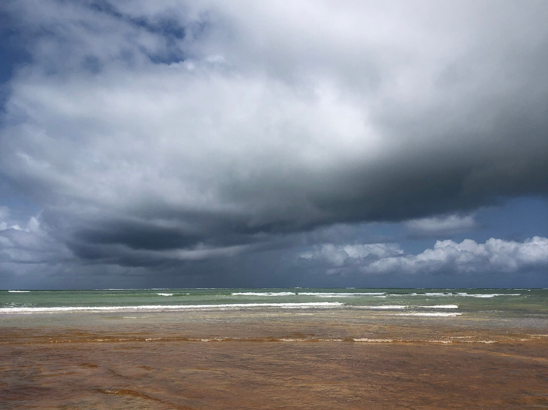 Riacho Beach-Sao Miguel dos Milagres必去景点