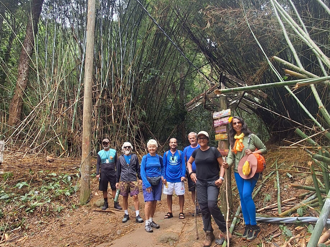 JR Turismo Ecológico-里约热内卢必去景点