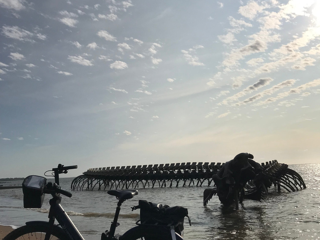 Nantes Tourist Office-南特必去景点