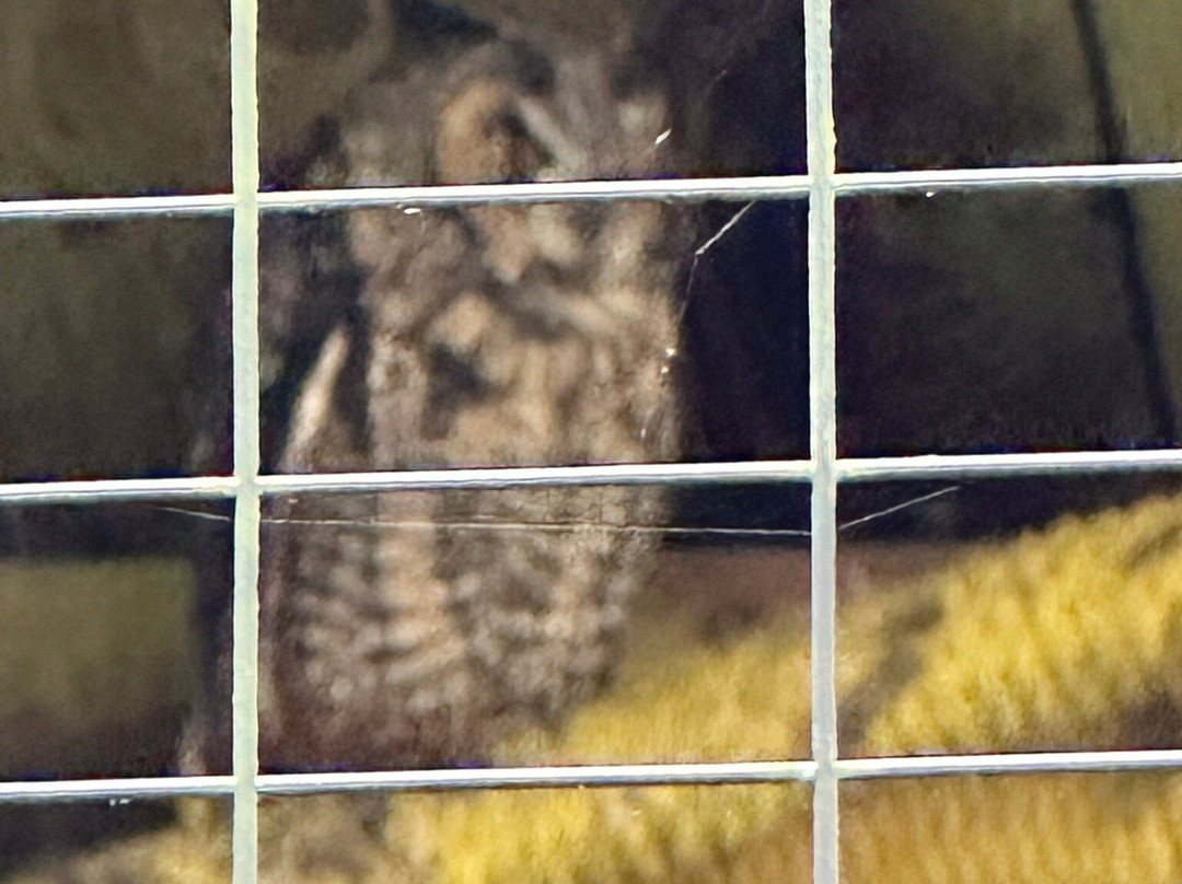 North Island Wildlife Recovery Centre-Errington必去景点