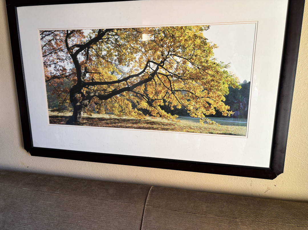 Extended Stay America - Newark - Christiana - Wilmington主图