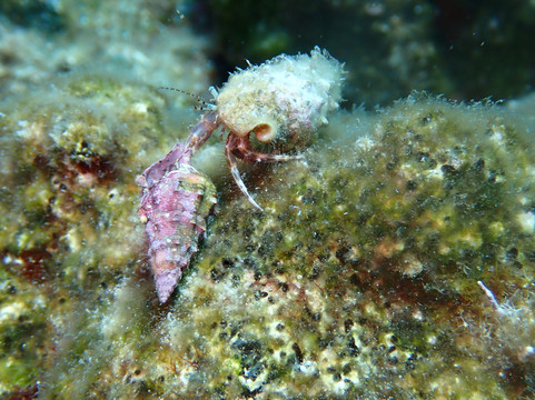 FunDive-Platanias必去景点