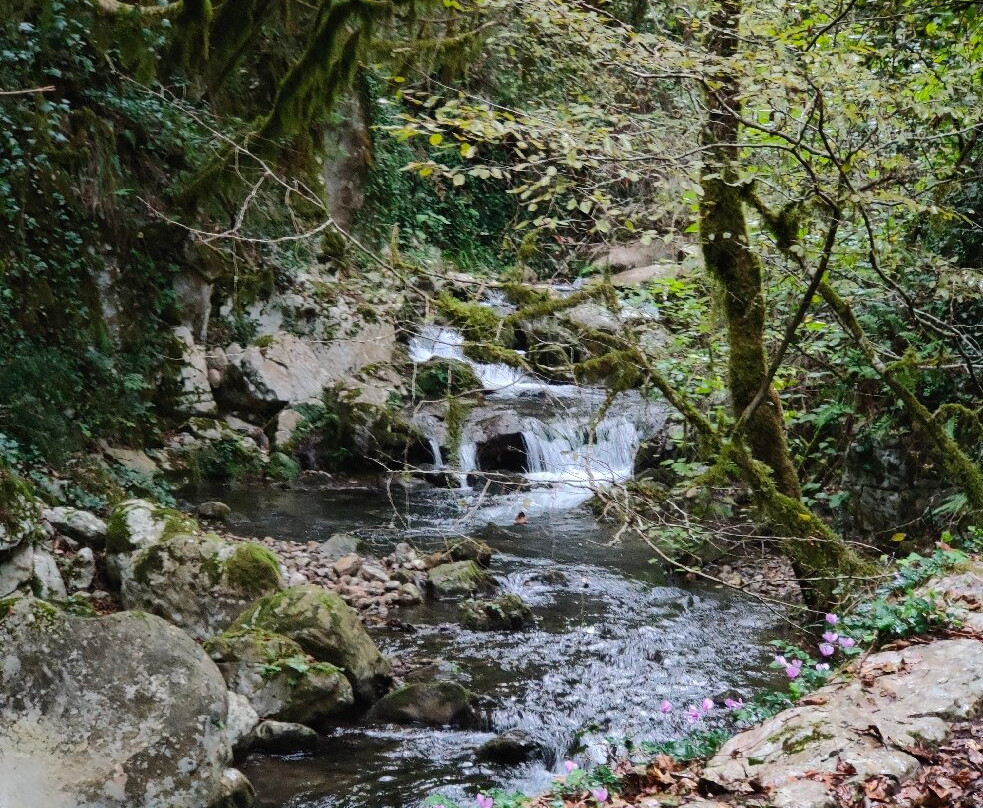 Oasi WWF Grotte del Bussento-Morigerati必去景点