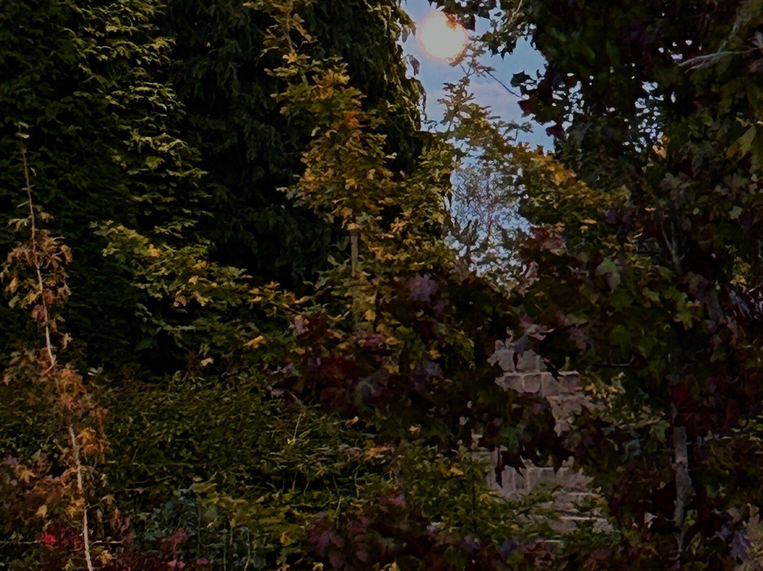 Thorp Perrow-Bedale必去景点