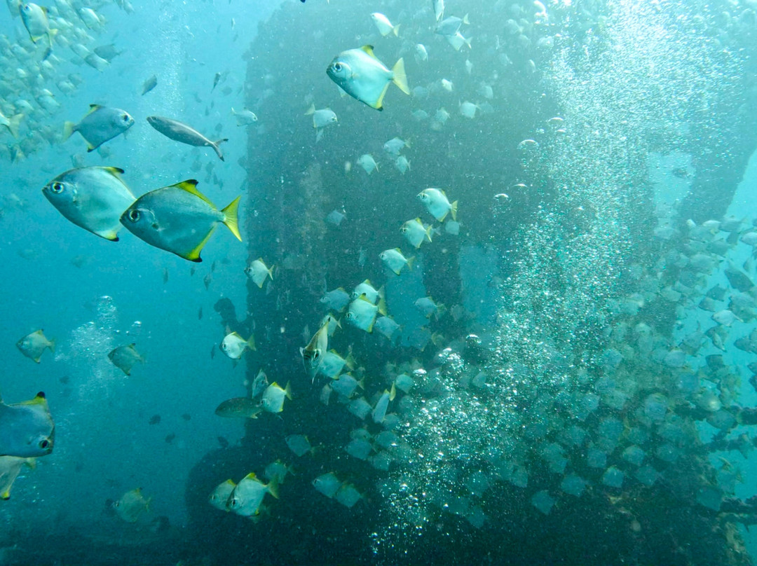 Scuba World-穆鲁拉巴必去景点