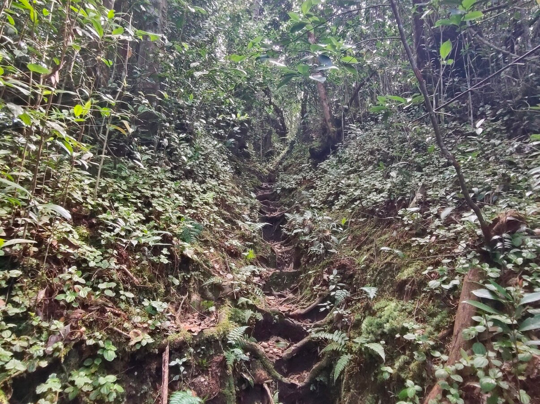 Gunung Berembun-日叻务村必去景点