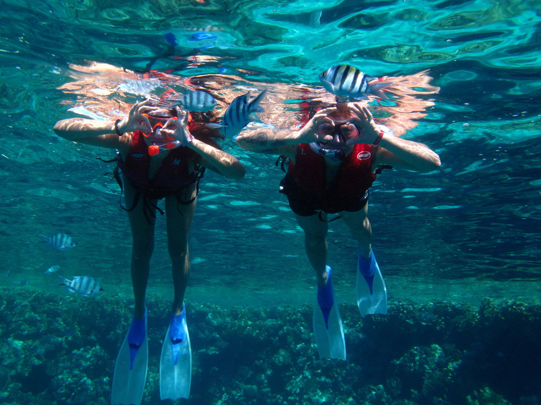 Bibo Viaggi-沙姆沙伊赫必去景点