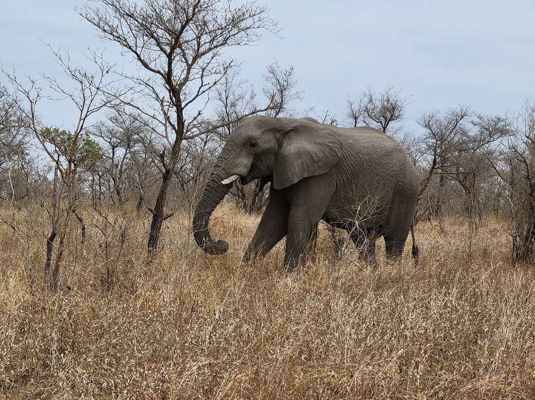 The Wild Blue Lodge主图