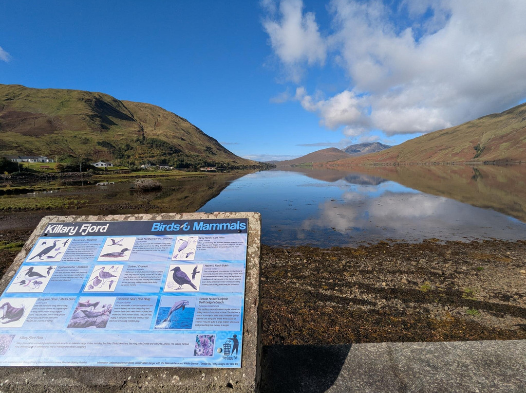 Killary Fjord-Leenane必去景点