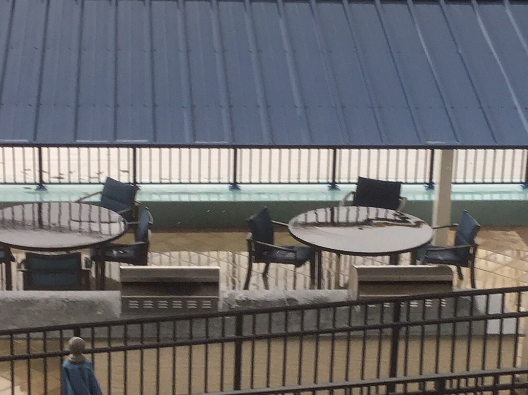 Bluegreen Dolphin Beach Club主图