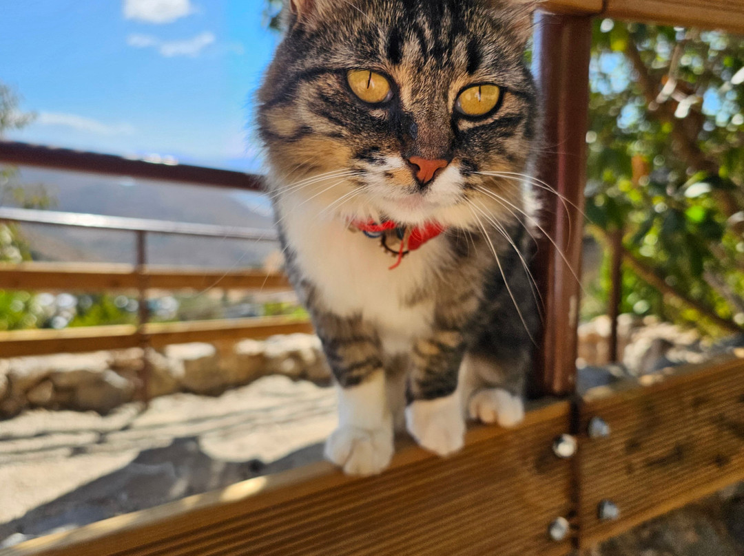 Amazonas Park-Kourounes必去景点