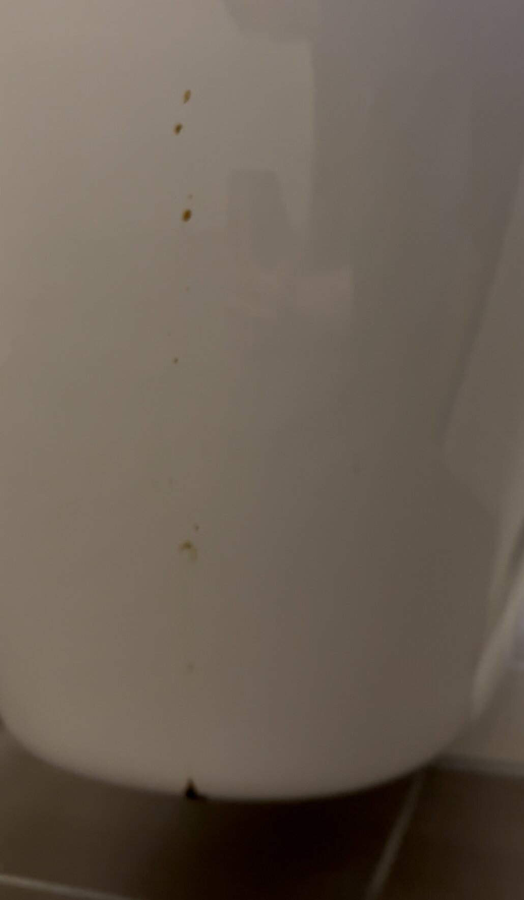 Coffee Fellows Hotel München-Freiham-官方