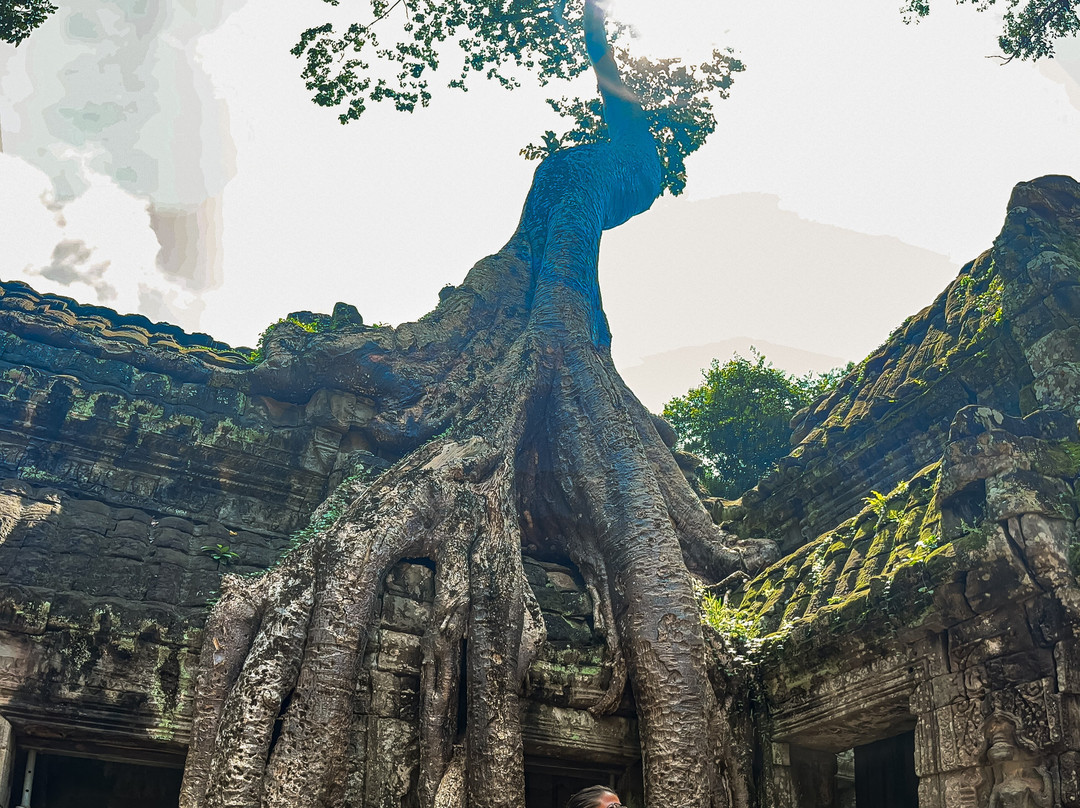 Jewel Tours-河内必去景点