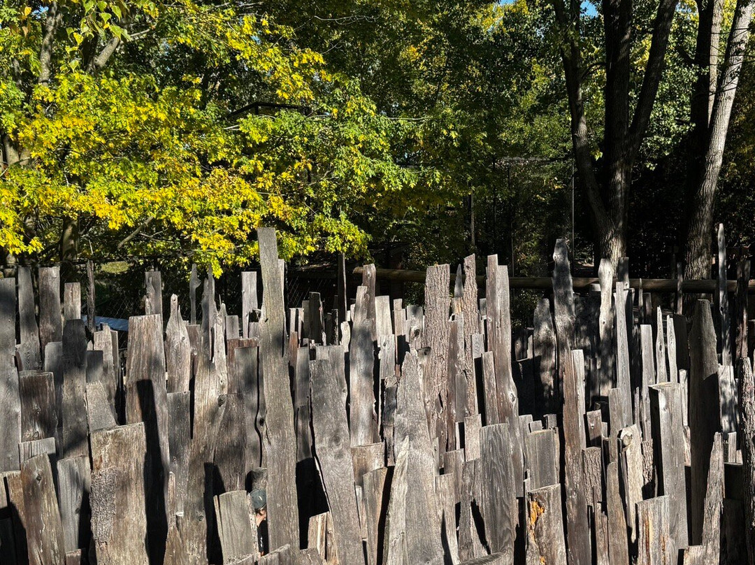 Zoo Ecomuseum-Sainte-Anne-de-Bellevue必去景点