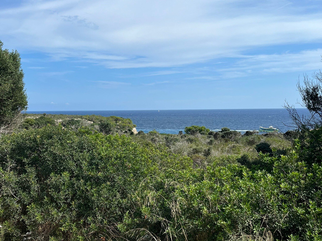 Cala Antena-Calas de Majorca必去景点
