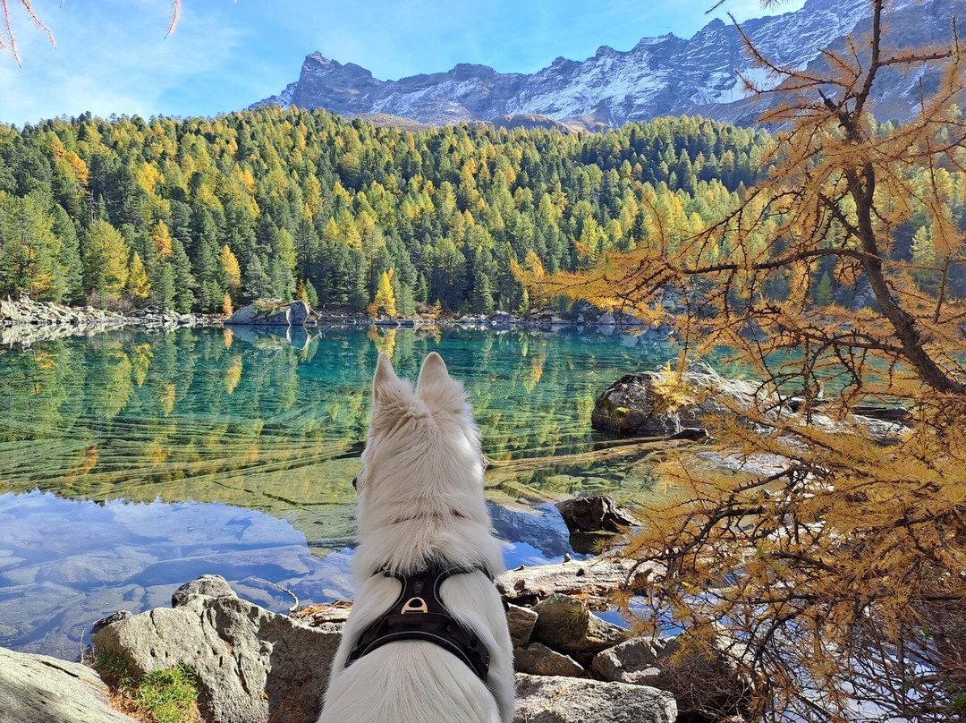 Lago Di Saoseo-Poschiavo必去景点