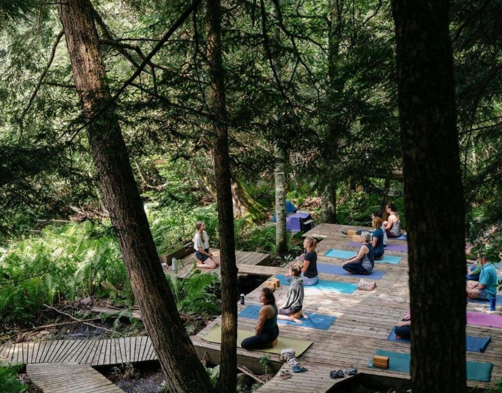 Auberge Yoga Salamandre