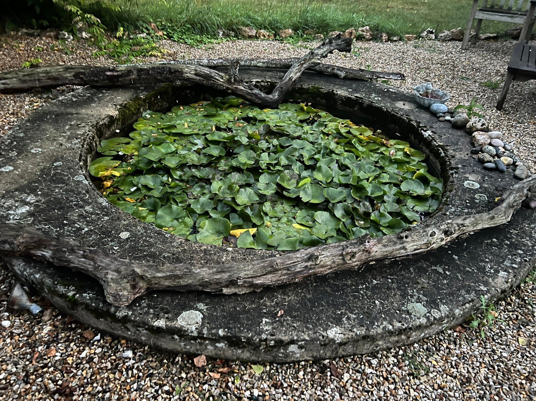 Le Jardin des Erables主图