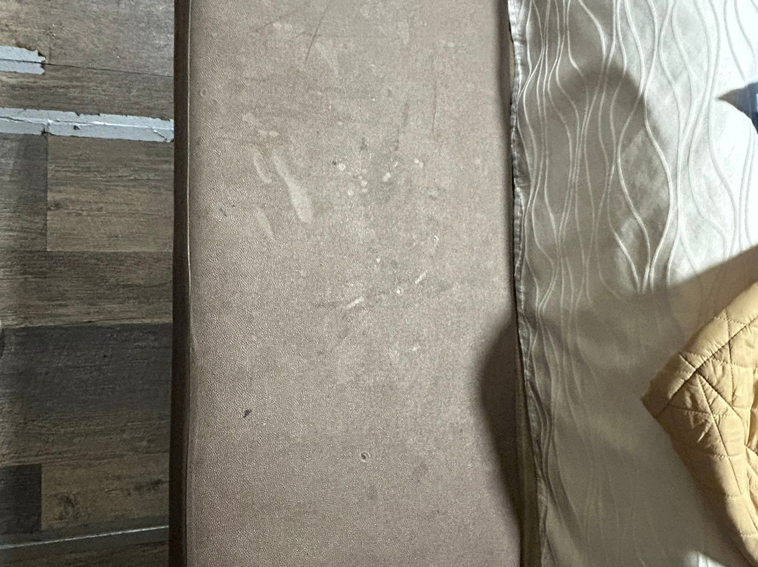 Del Rancho Motel主图