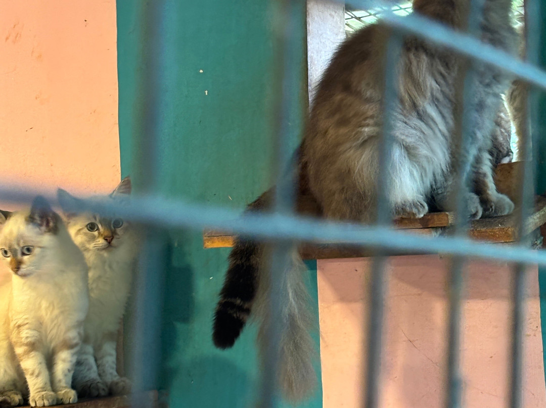 Fundera Park-Yelagiri必去景点