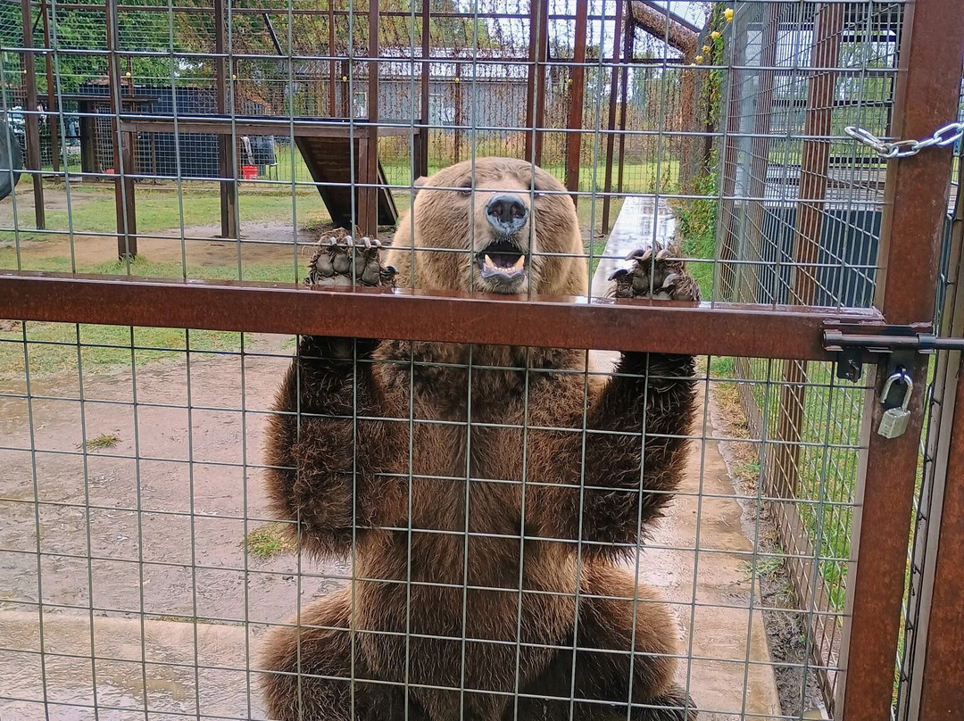 Safari Zoological Park-Caney必去景点