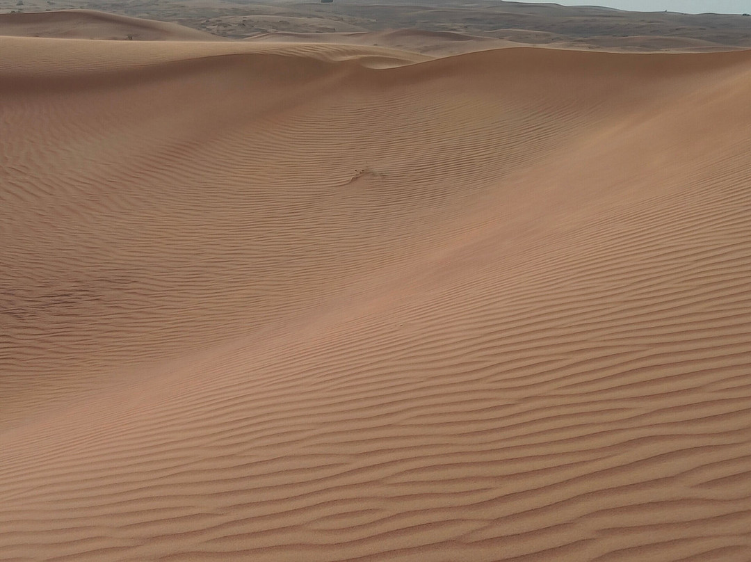 Efficient Tourism-迪拜必去景点