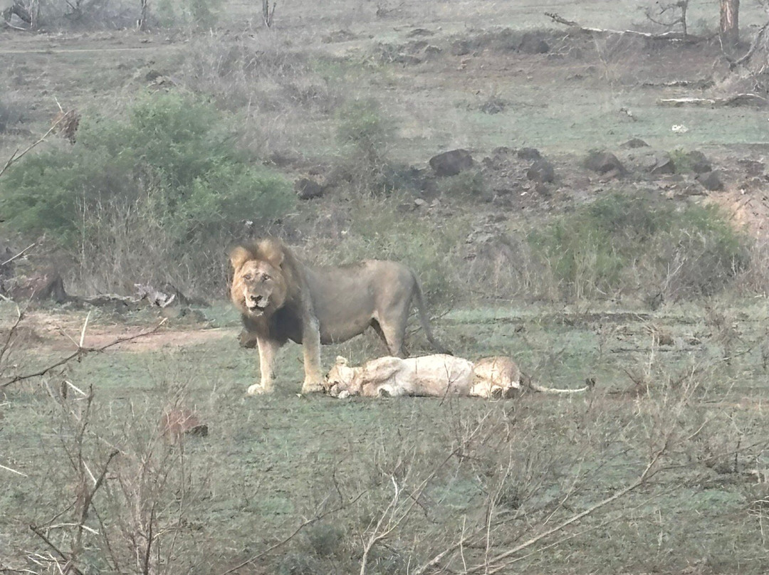 Southern Kruger Safaris-玛洛斯帕克必去景点