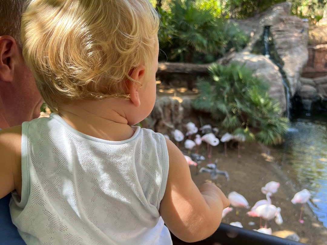 Bioparc Fuengirola-福恩吉罗拉必去景点