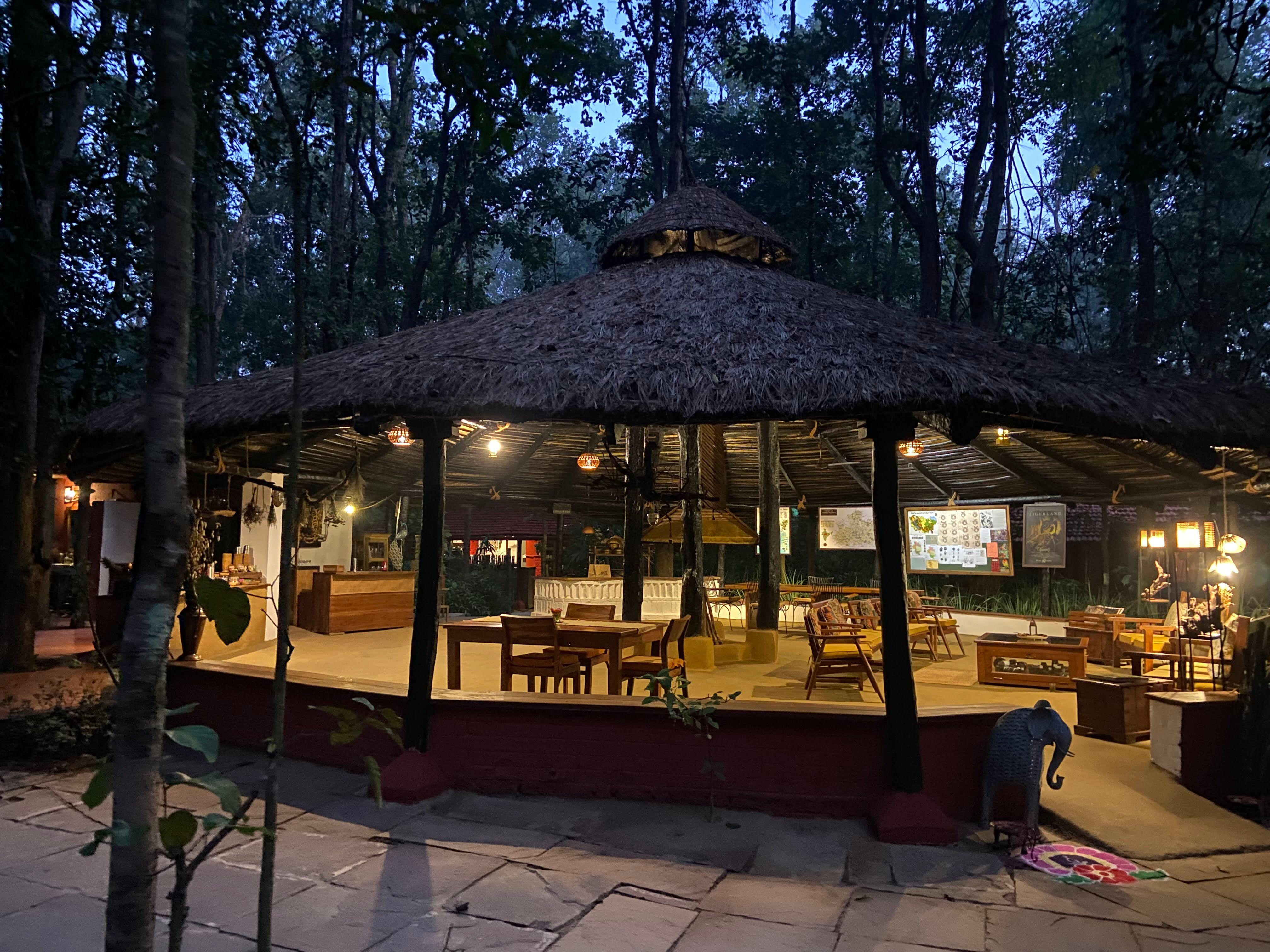 Kanha Jungle Lodge-官方