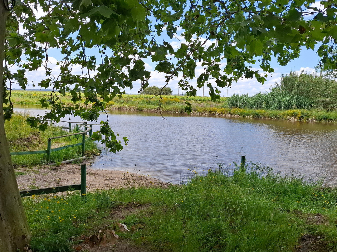 Parque do carril-Alpiarca必去景点