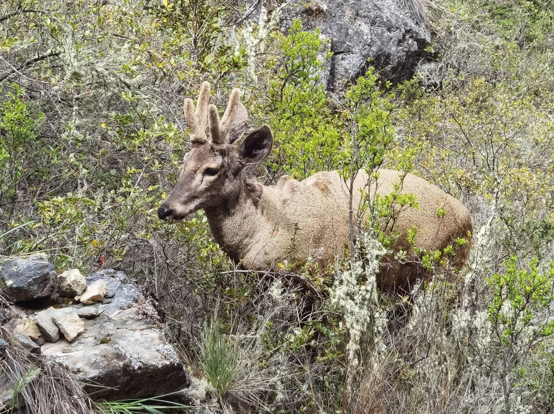 Paseos Náuticos Cochrane-Cochrane必去景点