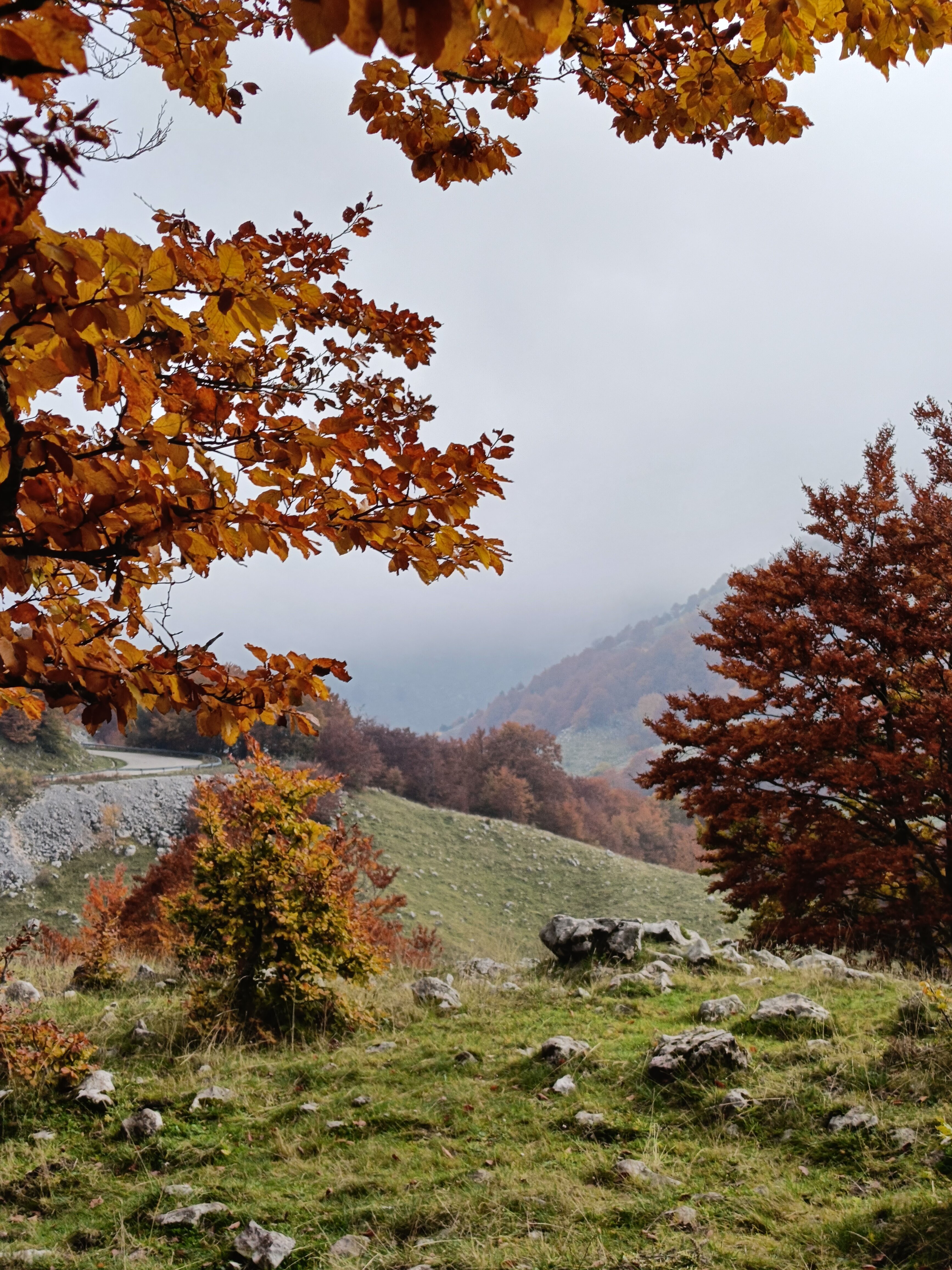 Club Hotel Lo Sciatore-官方