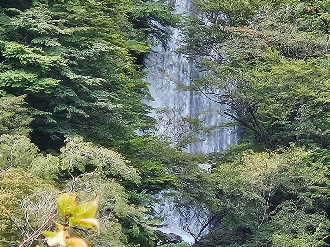Irohazaka Route-日光市必去景点