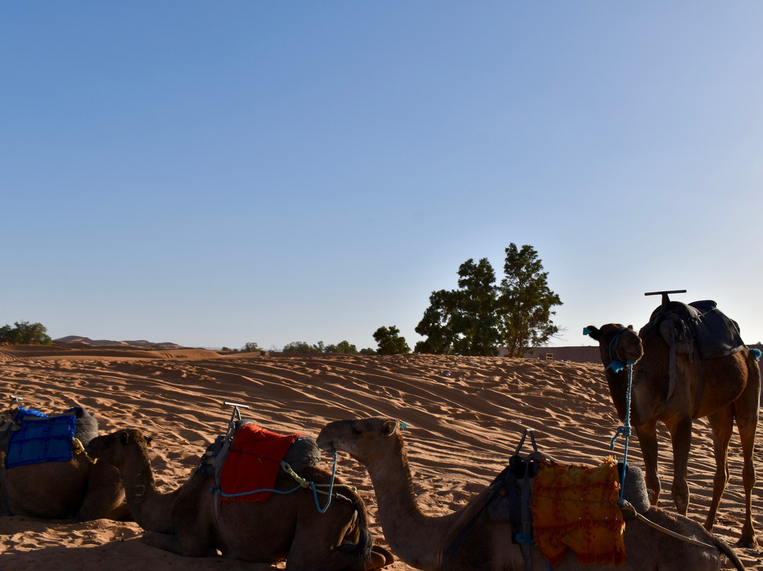 Tours in Marrakech-马拉喀什必去景点