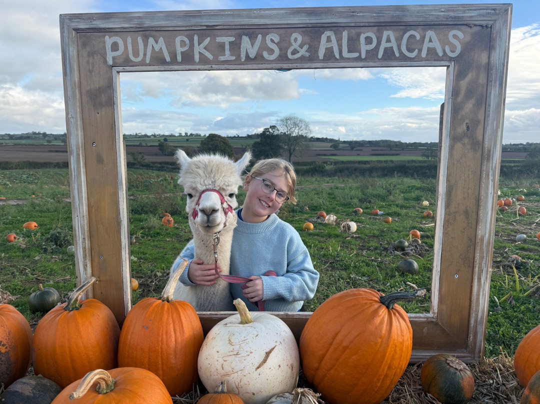 Tunstall Farm Park-Woodseaves必去景点