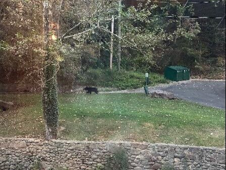 The Heirloom Room: Creekside Restaurant & Bar