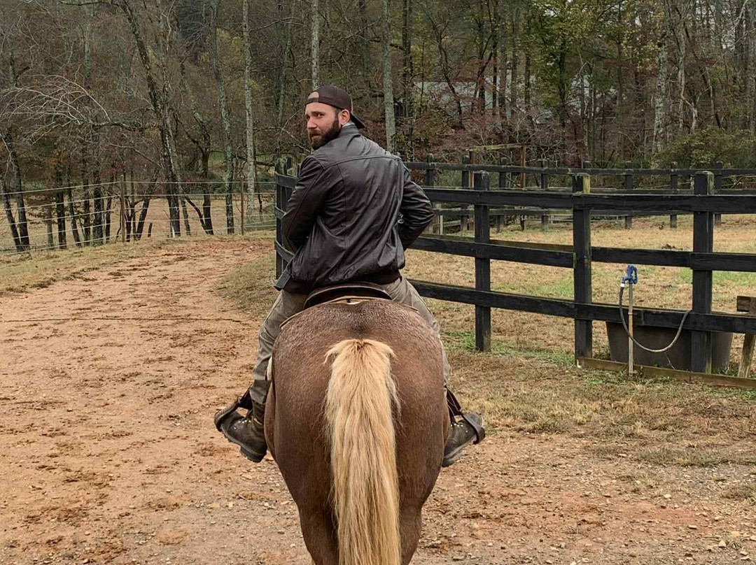 Appalachian Trail Rides-Mineral Bluff必去景点