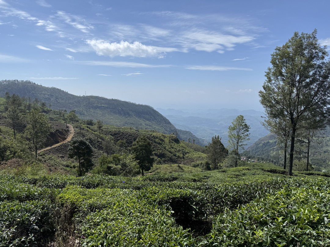 Travel Trail With Pulendran Gobi