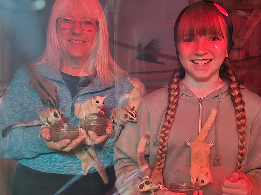 The Animal Experience-Stretham必去景点