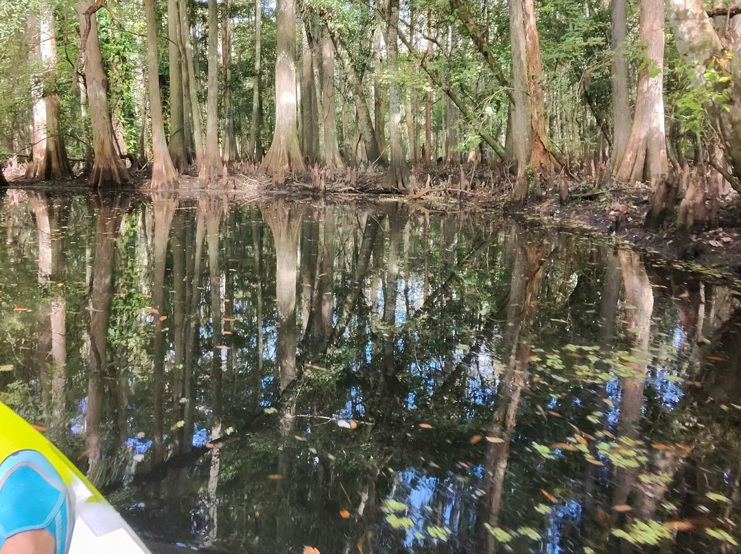 Shingle Creek Regional Park-基西米必去景点