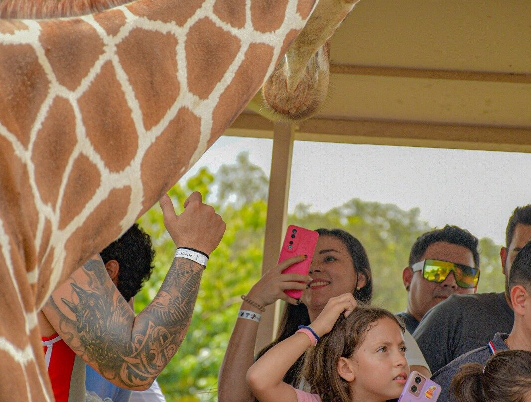 Ponderosa Adventure Park-利比里亚必去景点